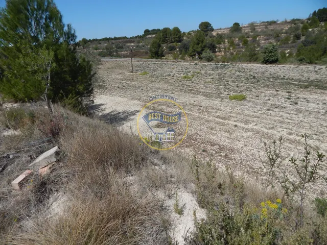 TERRENO EN PRODUCCIÓN CON PEQUEÑA CONSTRUCCIÓN EN PALOMAR(VALENCIA) — 9