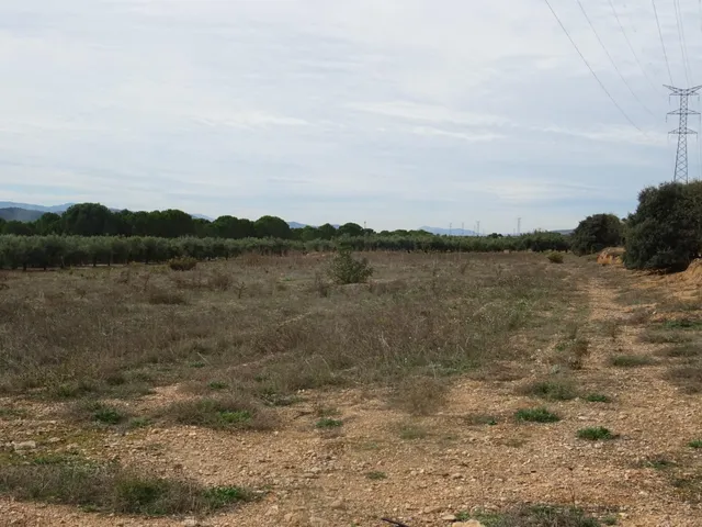 PRECIO de OCASIÓN!! Parcela de 12.000 m2 para construir en Benejama — 5