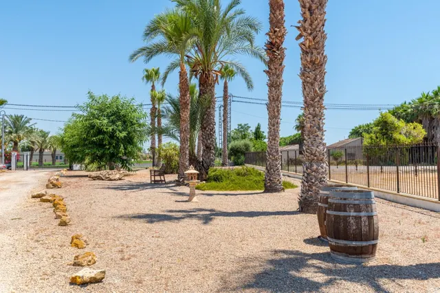 BONITA FINCA RUSTICA EN CATRAL:4 HAB, 4 BAÑOS — 28