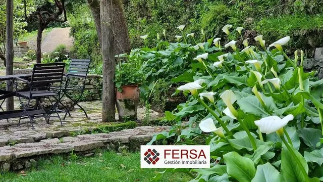 PRECIOSA CASA RURAL EN BENAMAHOMA — 6