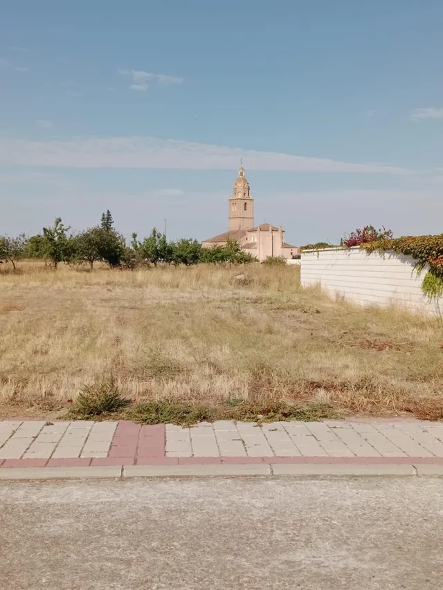Venta de Parcela en Matapozuelos - foto 4