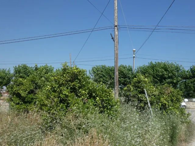 ++Terreno urbanizable en Alguazas, 1000 m. superficie parcela.+ — 4