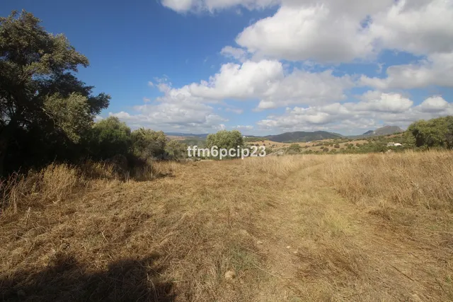 Finca rústica de 37.570 m² en Casares, Costa del Sol — 4