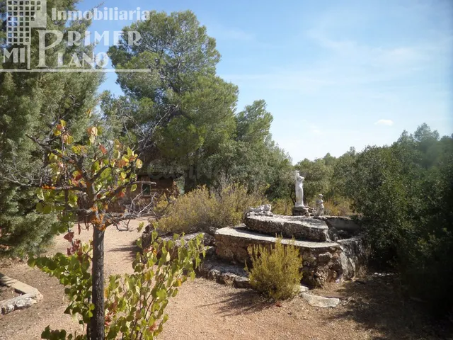 Se vende finca rustica de 106 hectareas en Tomelloso - foto 5