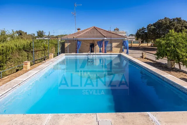 Venta de chalet independiente la urb. los ranchos de guadiamar Sanlúcar la Mayor (Sevilla) — 35