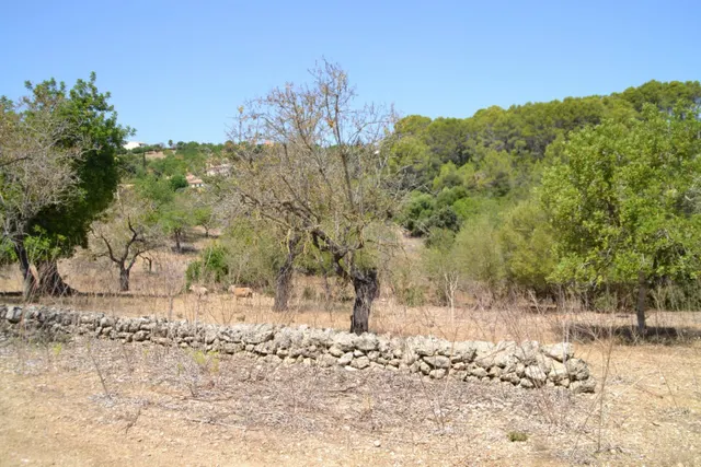 Finca rústica en Campanet — 15