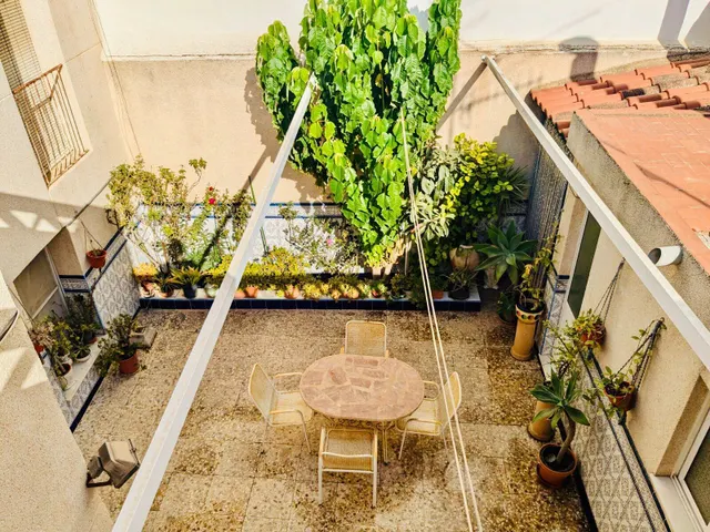Casa de pueblo de grandes dimensiones en Guardamar pueblo. — 22