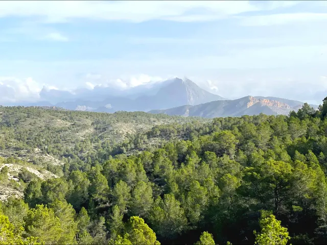 Finca rústica con casa en Relleu, cerca de Benidorm y playas - foto 2