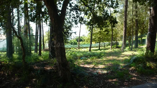 Solar edificable - foto 2