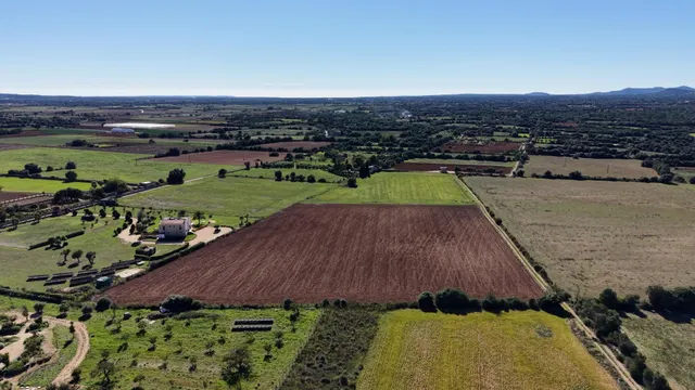 Finca rústica en Manacor con proyecto de ejecución — 17