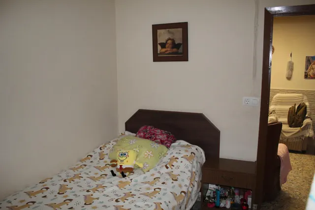 MAGNIFICO OLIVAR CON CASA, COCHERA PARA APEROS Y PISCINA ENTRE VILLAHARTA Y POZOBLANCO. — 27