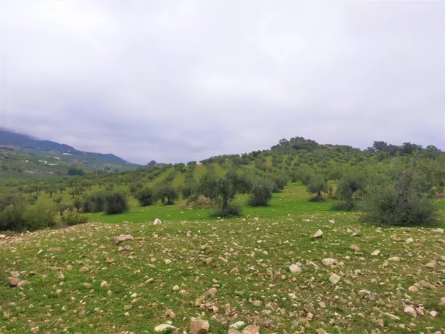Espectacular finca en la localidad de Alozaina — 12