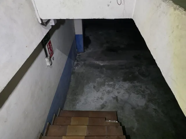 Local comercial de 300 m2 en la principal calle de ciudad naranco — 11