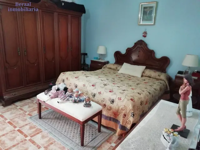 PISO AMPLIO EN LAS PEATONALES — 14