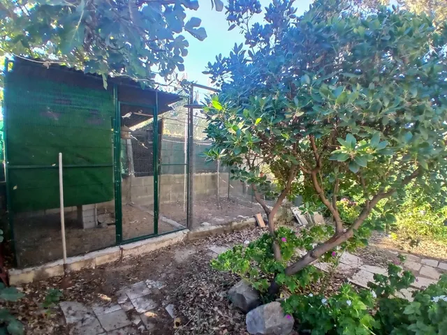 Casa con piscina y jardín. — 8