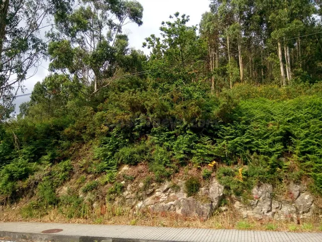 VENTA DE TERRENO EDIFICABLE EN LUGAR DE VENTOSA S/N (AMES) S - foto 5