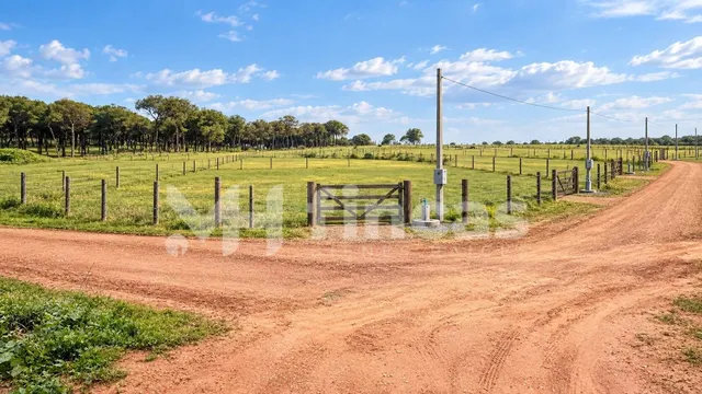 PARCELA RÚSTICA DE REGADÍO EN MAIRENA DEL ALCOR – 119.900 € - foto 3
