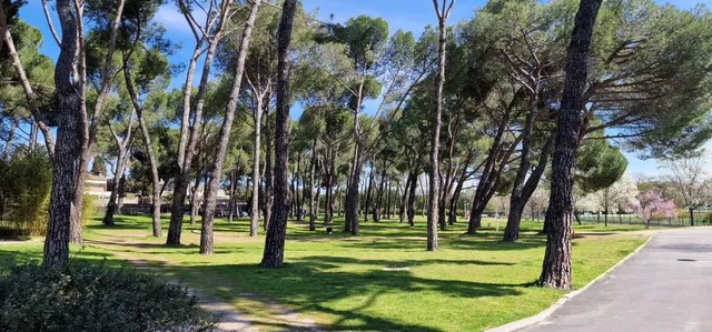 Magnifico piso para reformar en la exclusiva urbanización de La Rinconada — 49