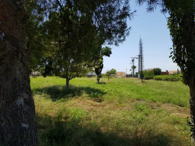 ESTUPENDA PARCELA  DE 1800M EN ZONA DE LOS RAMOS/TORREAGUERA — 5