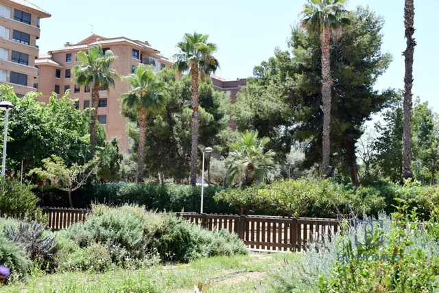 Tu negocio junto al parque del lago — 12
