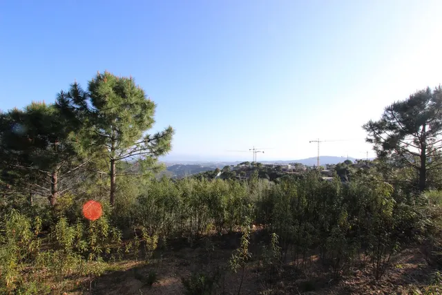 Parcela exclusiva con vistas al Mediterráneo en Benahavís — 22