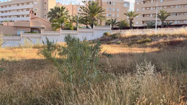 Terreno Urbano en Arenales del Sol - Oportunidad de Inversió - foto 2