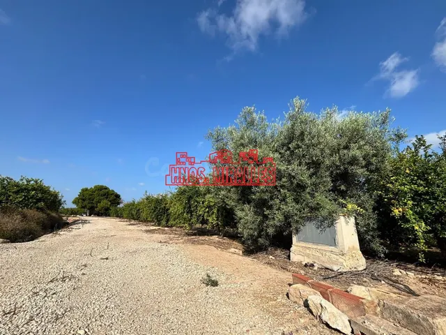 SE VENDE PARCELA EN CAMINO VIEJO DE SANTAPOLA PARA EDIFICAR. — 2