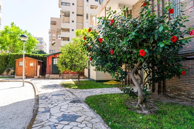 OPORTUNIDAD EN VENTA DE PISO DE 2 DORMITORIOS EN PLAYA DE SAN JUAN (ALICANTE) A 8 MINUTOS ANDANDO DE LA PLAYA — 43