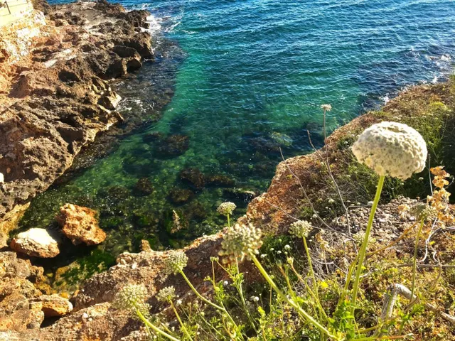 Parcela con vistas en galeretes — 21