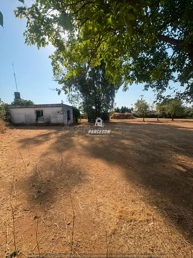 CTRA PALMA DEL RIO - Parcela con escrituras del terreno de 3 - foto 2