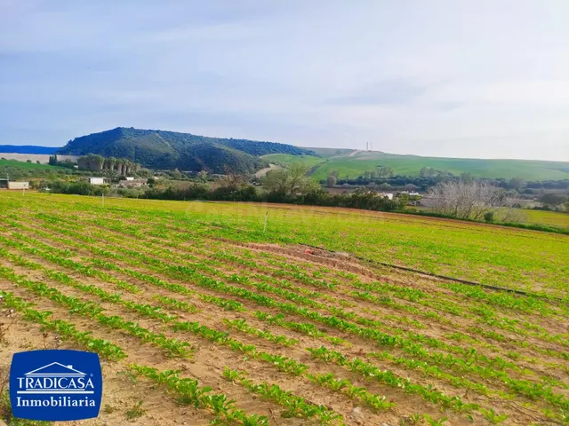 ARCOS DE LA FRONTERA,  PARCELA A PIE DE CARRETERA DE 17.900 M2 — 4