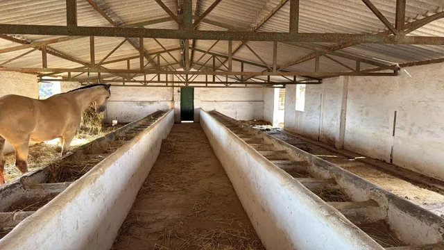 se vende Finca en entrerrios ( Mijas costa) — 9
