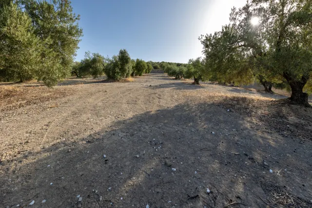 Terreno rural en venta - Alfacar — 28