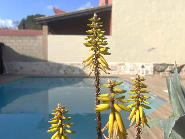 Casa rústica con jardín y piscina privada en l'Armentera, Al - foto 4