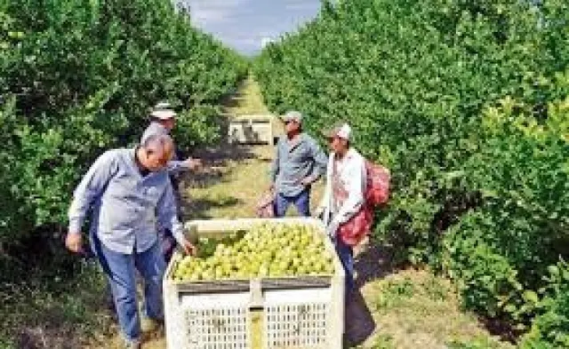 Esplendida finca rústica con casa, balsa ,etc..de 150 hectar