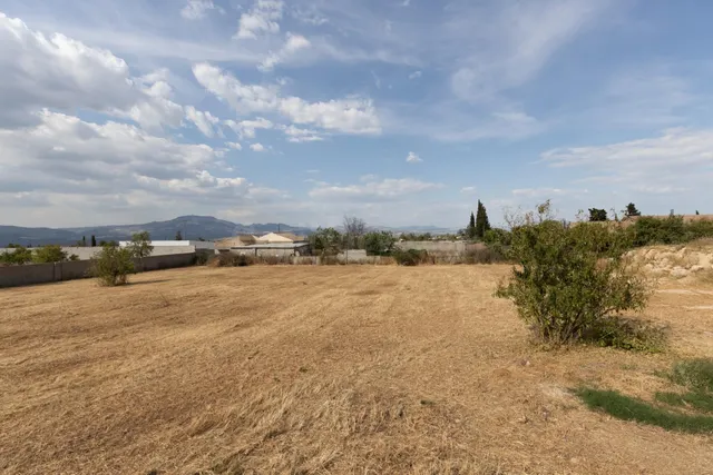 Terreno rural en venta - LOS TABLAZOS - foto 5