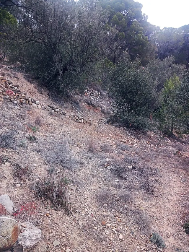 terreno Agrario — 11