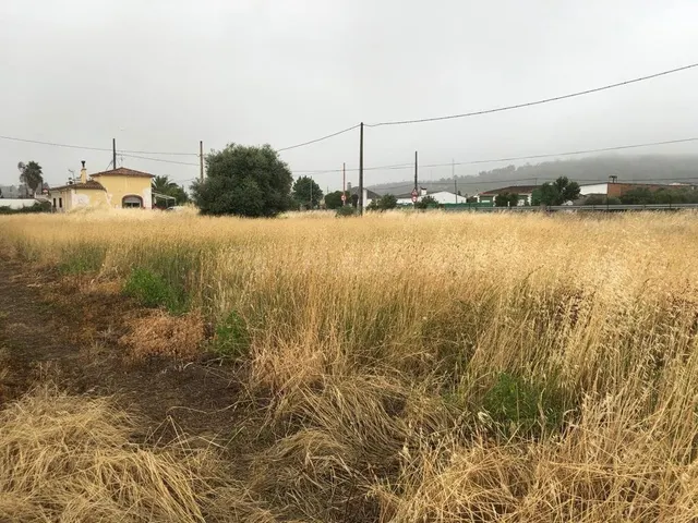 OPORTUNIDAD parcelas urbanas - foto 2