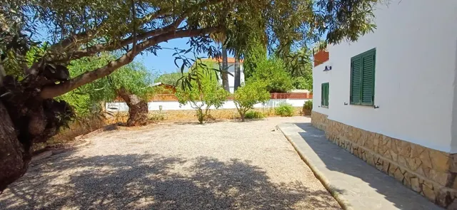 Alquiler anual  Chalet en zona Santa Lucía, con amplia parcela y todas las comodidades — 39