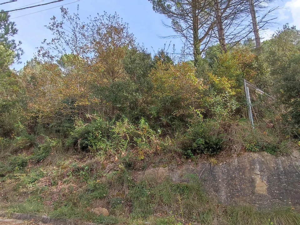 TERRENO EN VENTA EN LA URBANIZACION MASIA DEL SOLÀ (FINCA RUSTICA) MONISTROL DE CALDERS