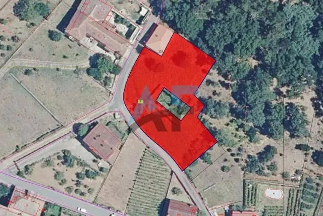 Finca Urbanizable con Vivienda para Reformar en Toén, Ourens - foto 5