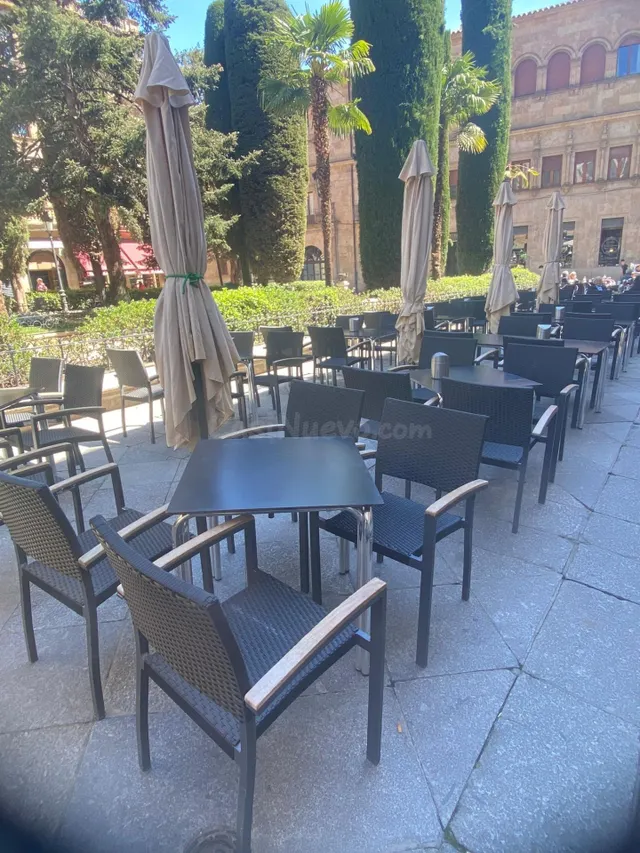 TRASPASO: GASTRO-BAR PREMIUM EN PLENO RENDIMIENTO - foto 2