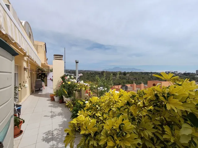 Piso 3 habitaciones 112m² en venta - Pueblo Levante — 8