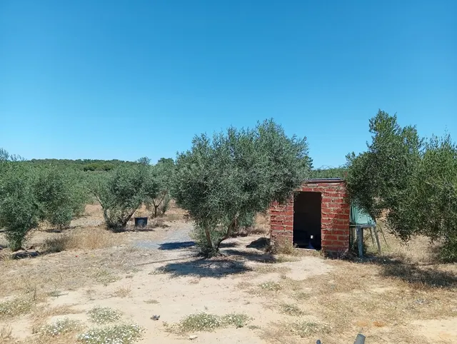 Fantástico terreno en Villablanca, Huelva - foto 4