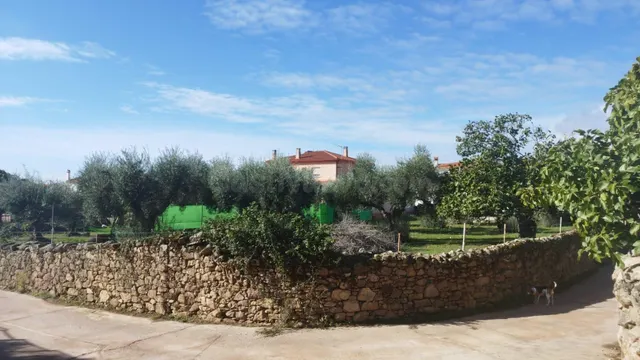 Estupenda parcela urbana en el centro de Aldea del Cano - foto 3