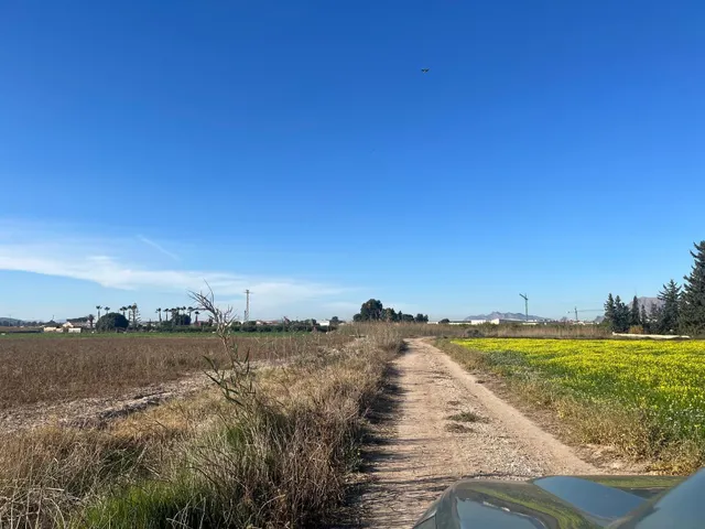 Terreno Almoradí Partida el Gabato 11.636 m2 Cerca Polígono Maromas y nuevo colegio — 2