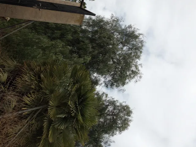 Terreno Rústico de 1800 m2 en Valladolises ✨ — 24