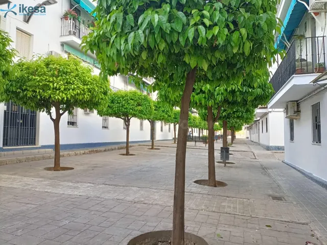 PISO EN ECIJA - foto 3