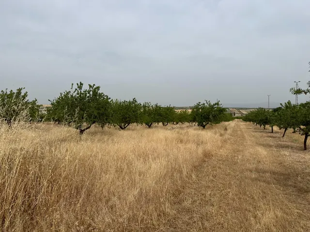 VENTA DE SOLAR INDUSTRIAL EN CHIMENEAS — 35