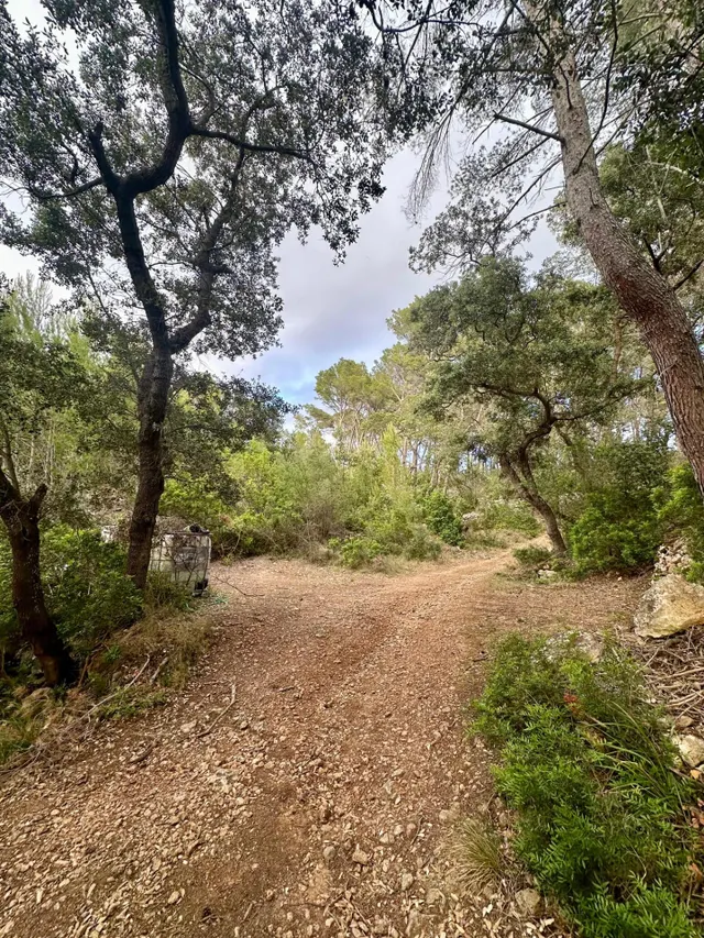 Terreno Rústico de 12.240 m2 en S’Arracó (Andratx) | Vistas al Mar, Cueva Natural y Pago Aplazado — 9